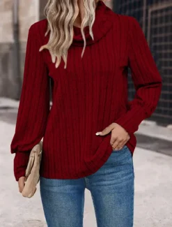 Sale Women's T Shirt Plain Fashion Modern Casual Long Sleeve Turtleneck Regular Tops Daily Weekend Wine Blue Gray Fall Winter Women Blouses & Shirts