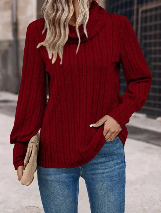Sale Women's T Shirt Plain Fashion Modern Casual Long Sleeve Turtleneck Regular Tops Daily Weekend Wine Blue Gray Fall Winter Women Blouses & Shirts