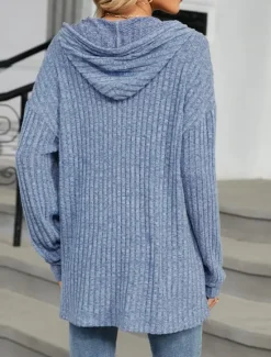 Online Women's Texture Sweatshirt Pullover Hoodie Sweatshirt Plain Casual Long Sleeve Hooded Regular Tops Street Dailywear Buttons Blue Fuchsia Gray Spring Fall Women Hoodies & Sweatshirts
