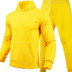 Online Women's Tracksuit Sweatsuit Casual Fall Long Sleeve Velvet Thermal Warm Soft Fitness Running Jogging Sportswear Activewear Solid Colored Navy Black White Women Two Piece Sets