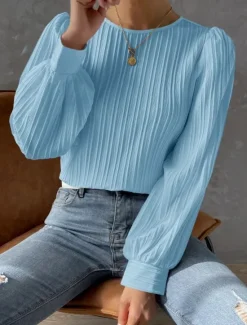 Online Women's Tunic Elegant Casual Solid Color Lantern Sleeve Long Sleeve Regular Tops Crew Neck Daily White Wine Blue Purple Spring Fall Women Blouses & Shirts