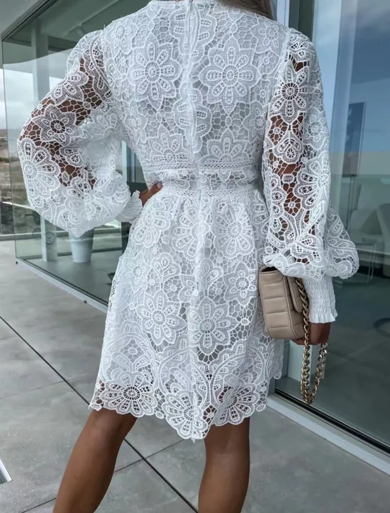 Hot Women's White Dress Mini Dress Lace with Sleeve Date Vacation Elegant A Line V Neck Long Sleeve Black White Fuchsia Color Women White Dresses