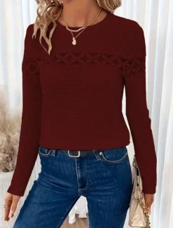 Online Women's White Elegant Lace Tops Eyelet Blouse Casual Long Sleeve Regular Tops Crew Neck Daily Romantic Petite Tops Summer Holiday Wear Black White Red Light Brown Spring Fall Women Lace Tops